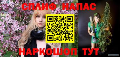 гидра Краснознаменск