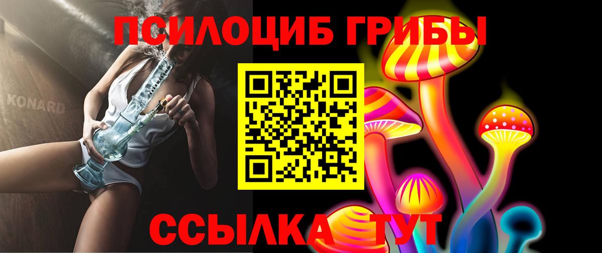 Горно-Алтайск  Галлюциногенные грибы Magic Shrooms  Вход с VPN 